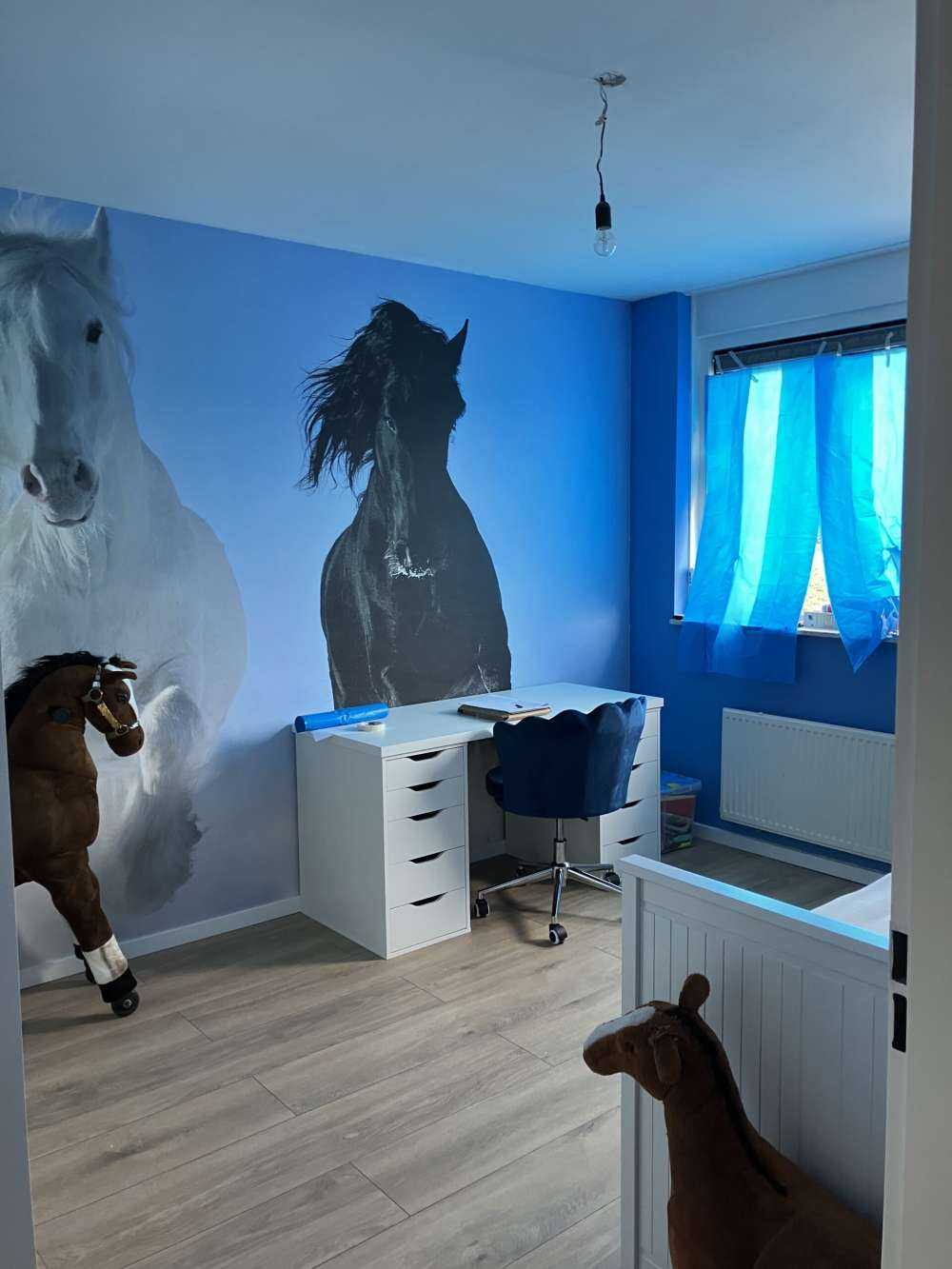 Hvit og en svart hest