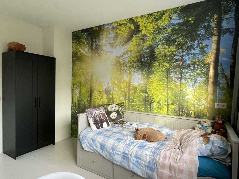 Skog med solstråler