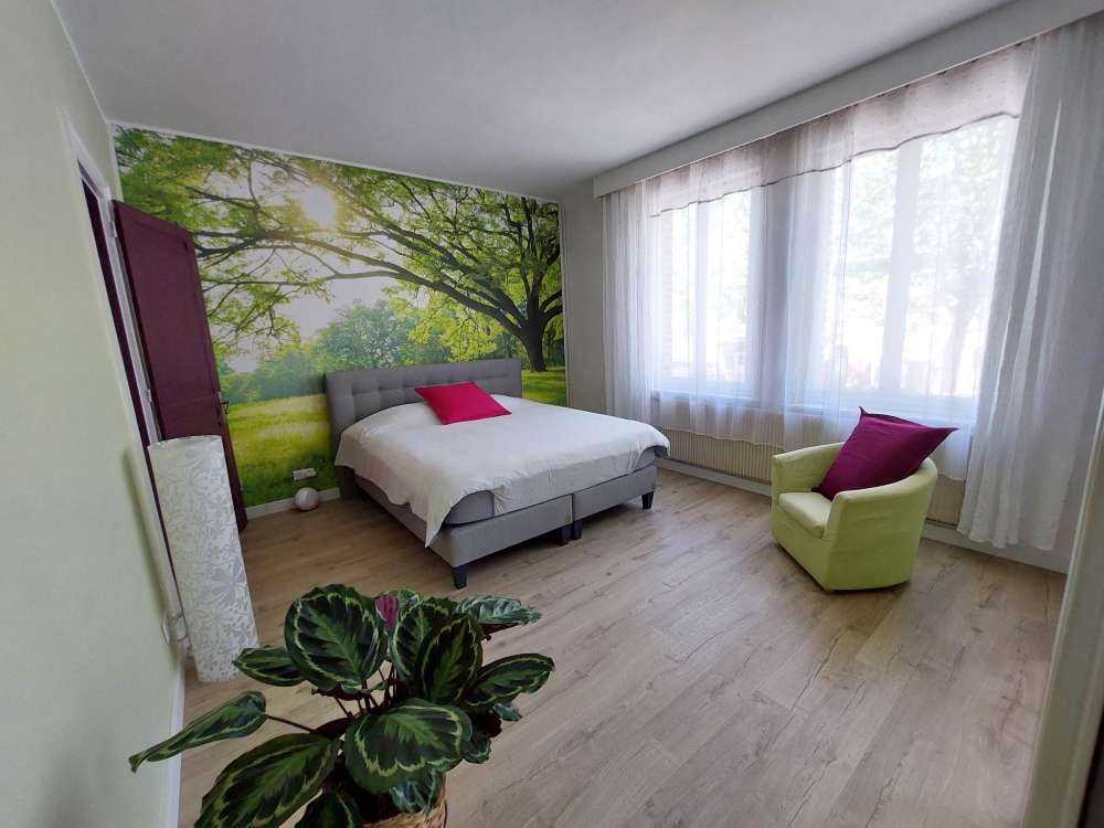 Härligt träd med grönt gräs