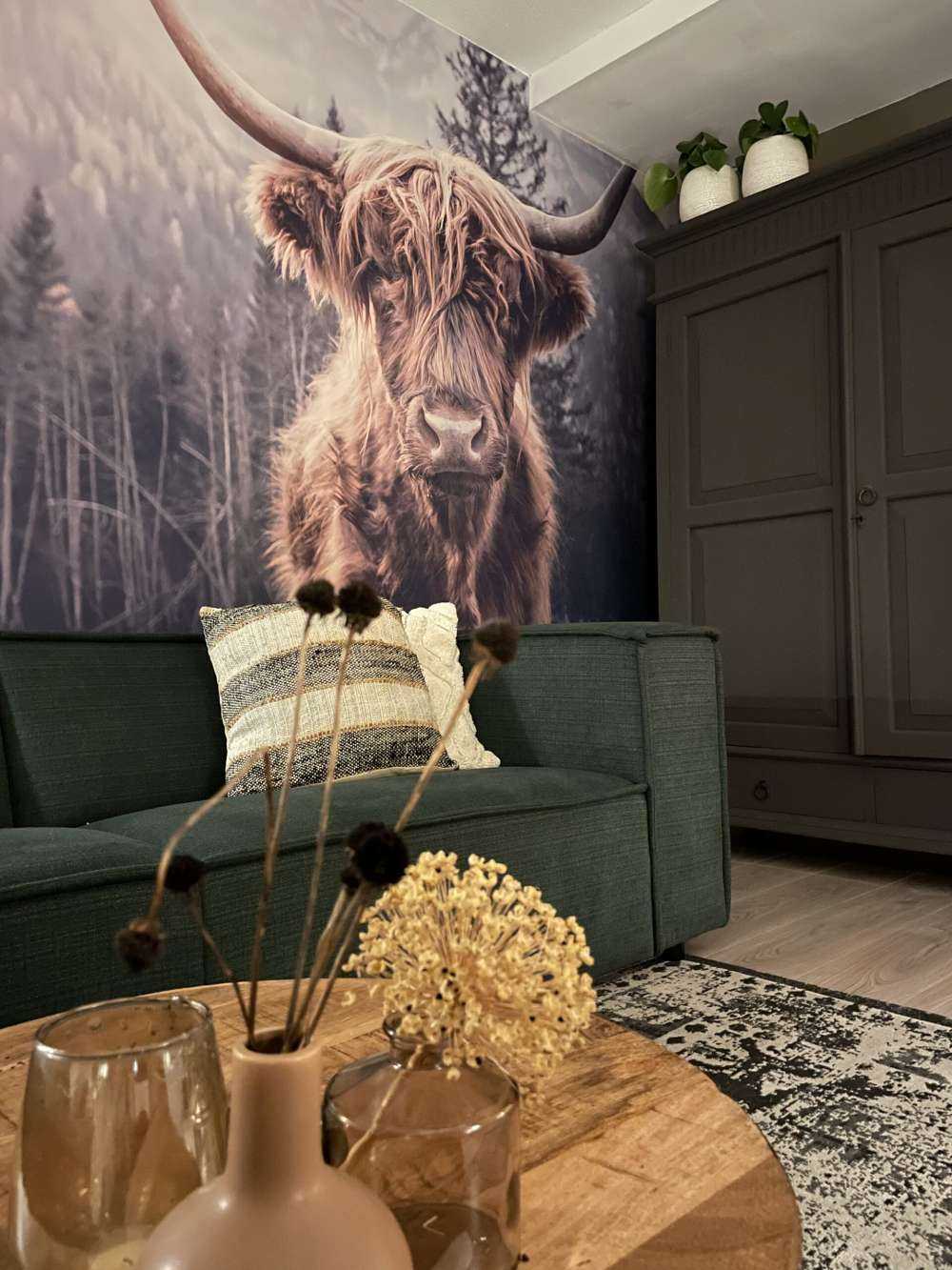 Skotsk hoglandare vid skogen