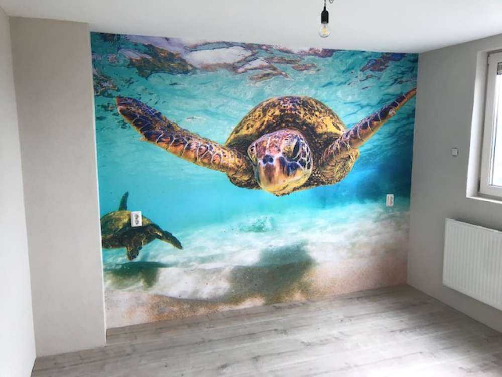 Havskildpadde i havet