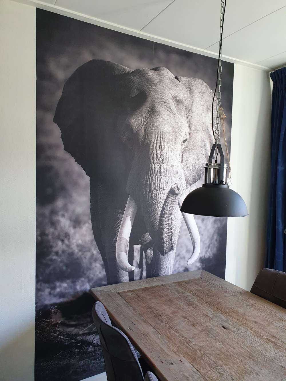 Afrikansk elefant