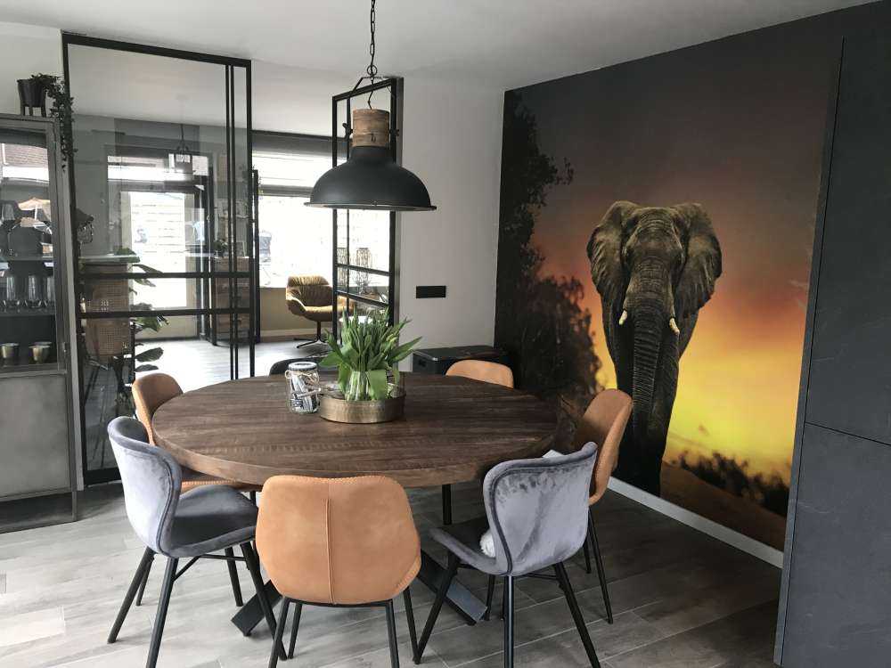 Elefant i solnedgangen