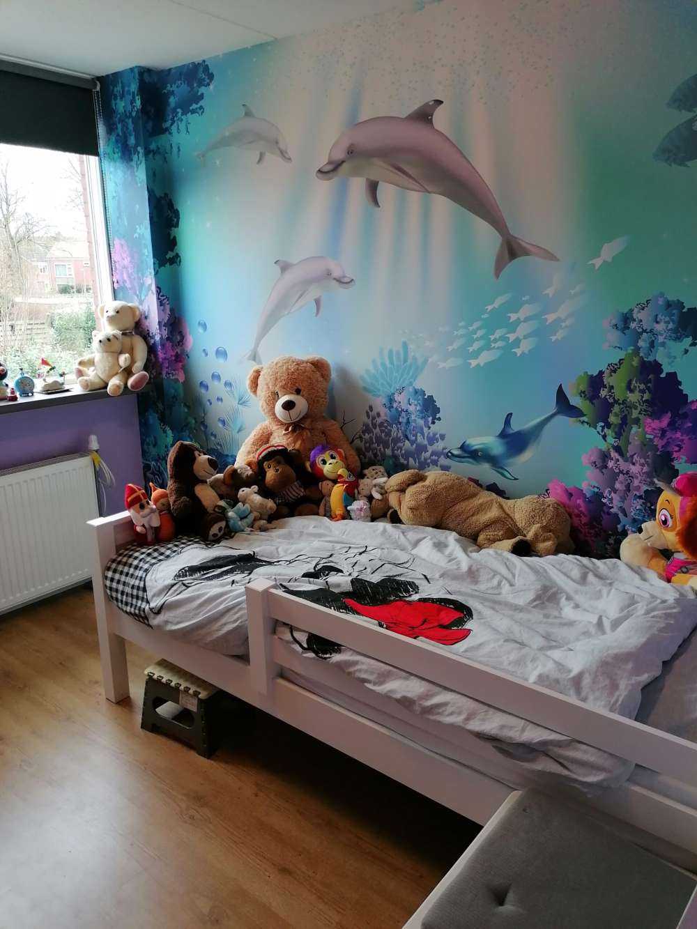 Undervandsverden med delfiner