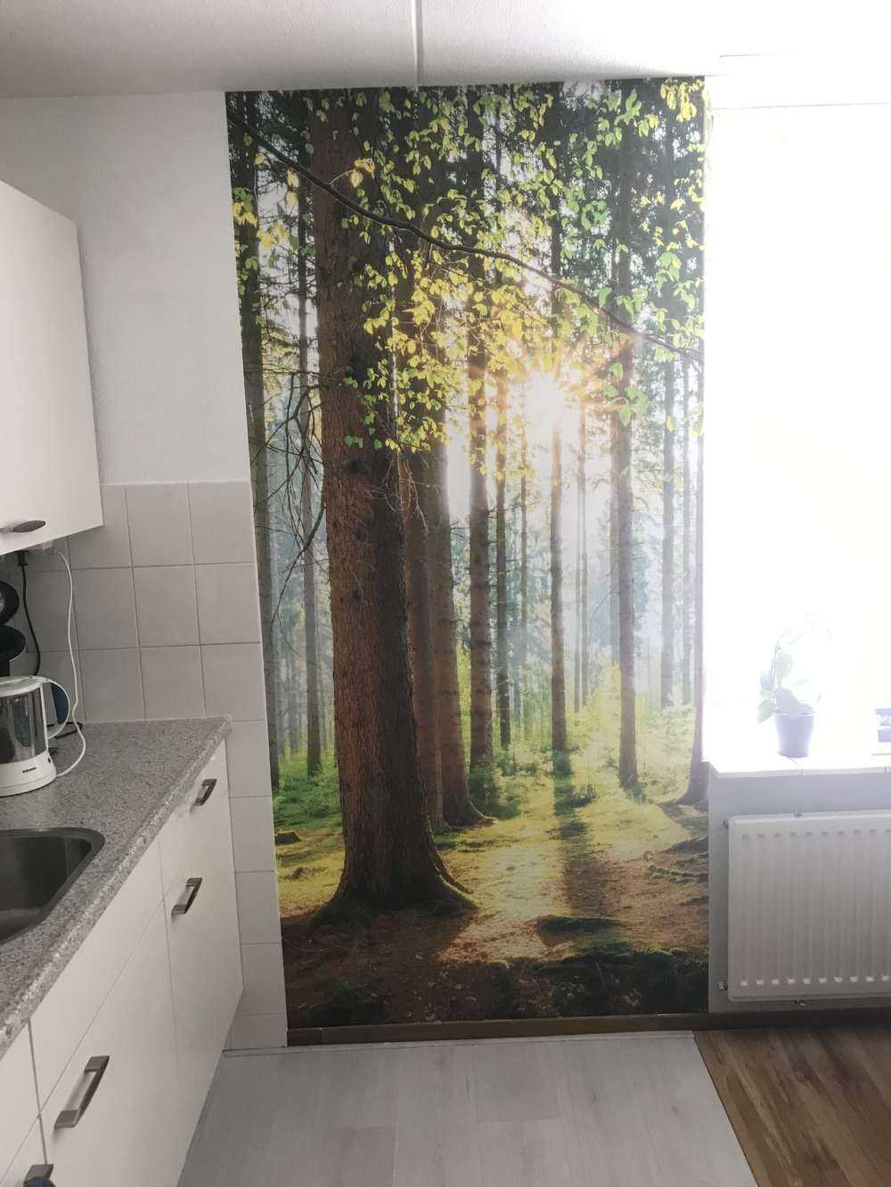 Solopgang i skoven