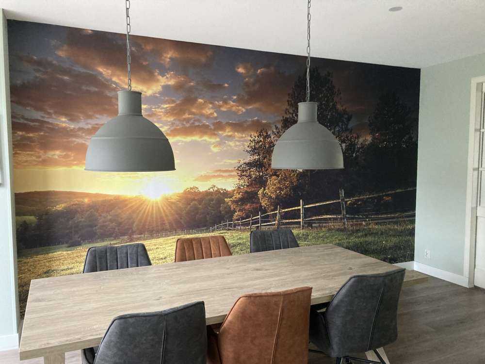 Betesmark vid solnedgången