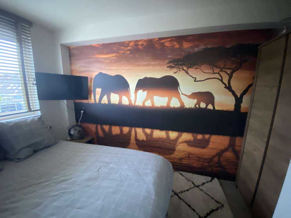 Elefanter i savannen