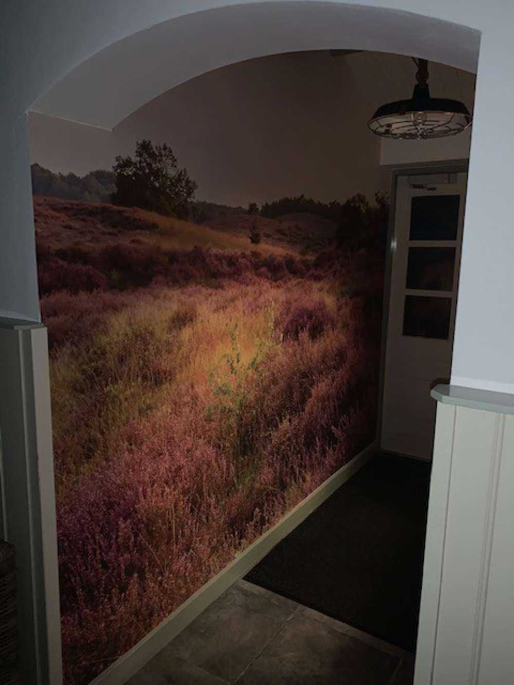 Hedmarker vid soluppgång