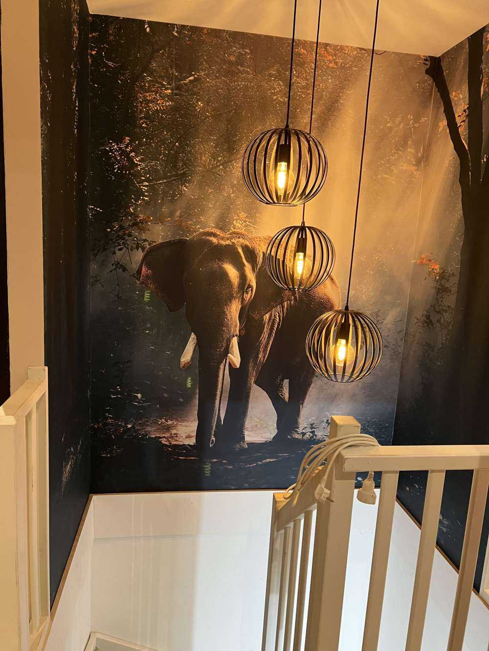 Elefant i en jungle