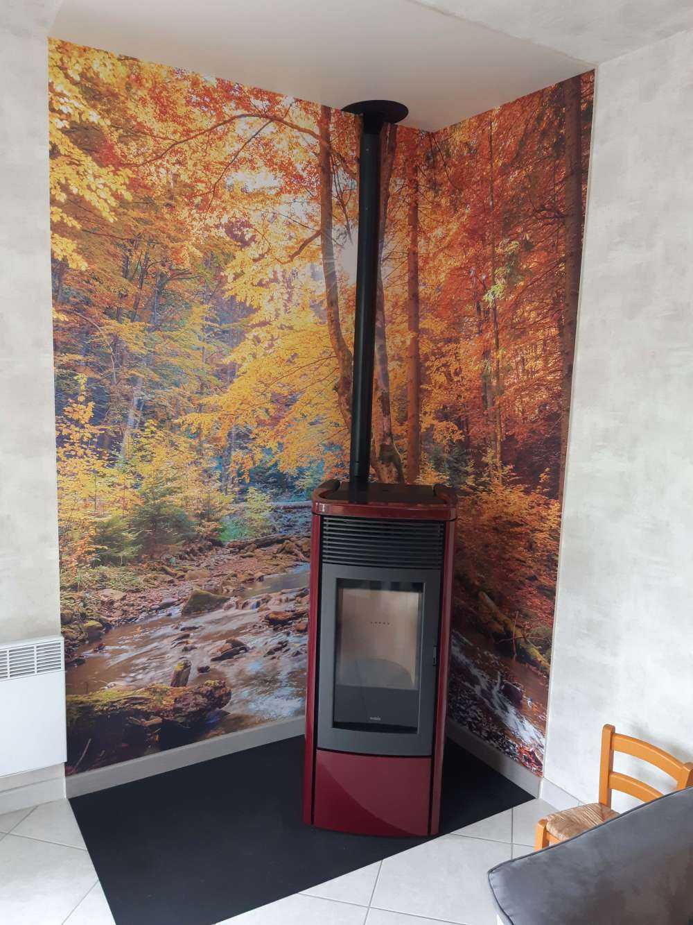 Efterår i en vild skov