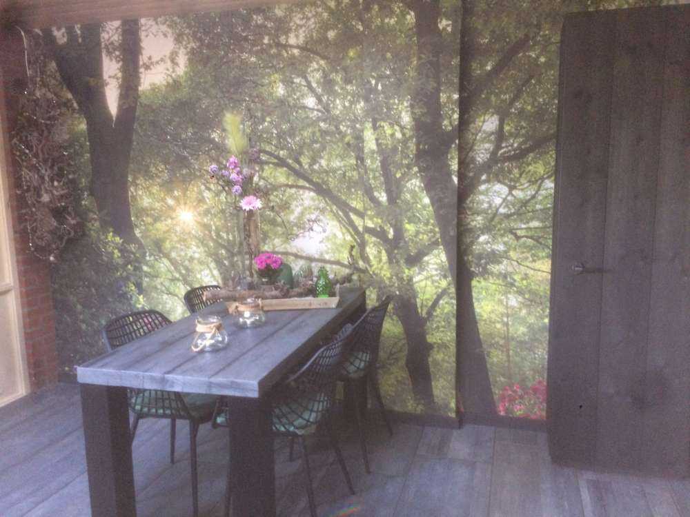 Solopgang ved sti med rododendroner