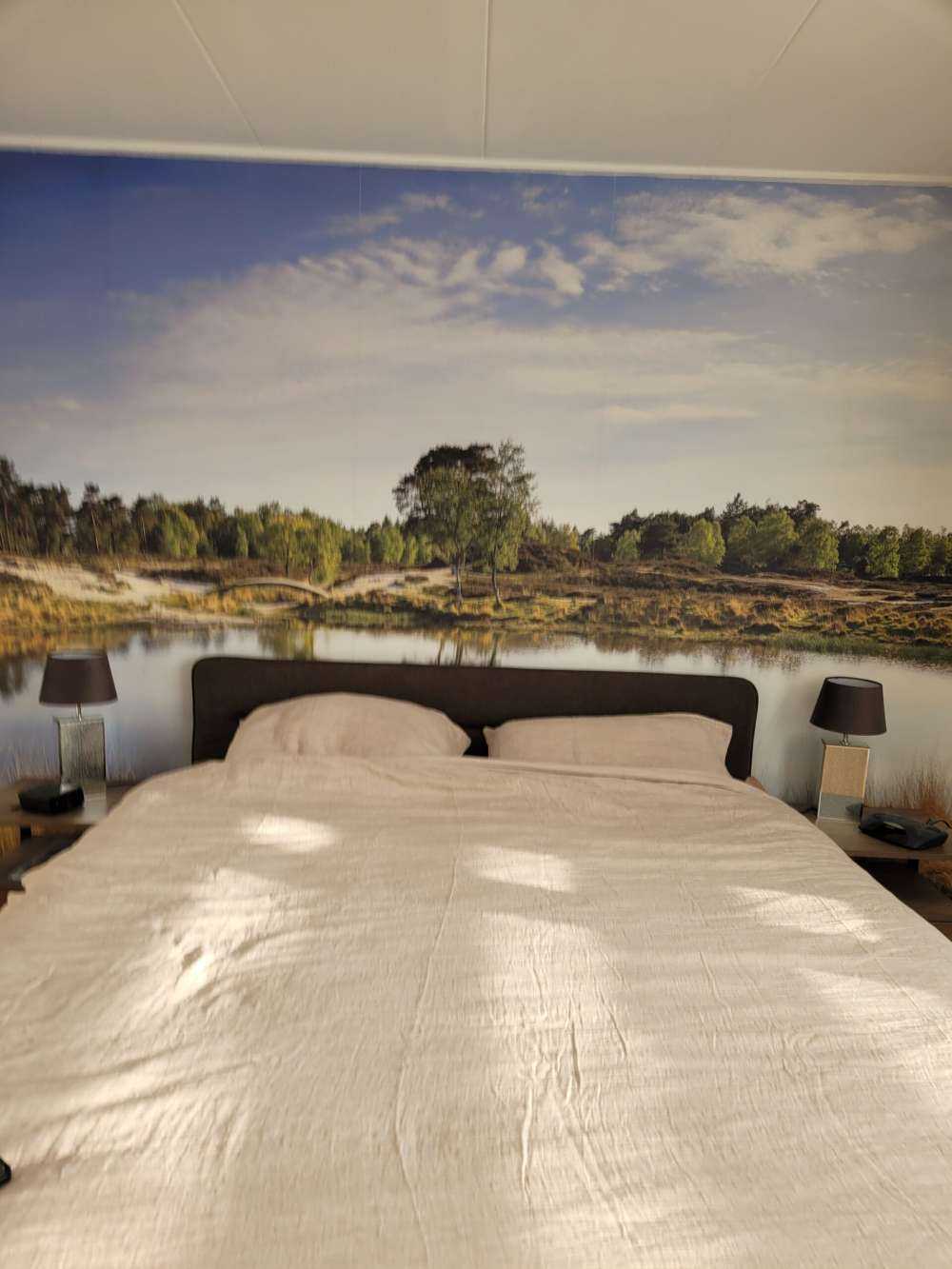 En lille skovsø i lyngområdet