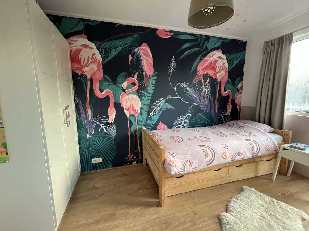 Villrosa flamingoer
