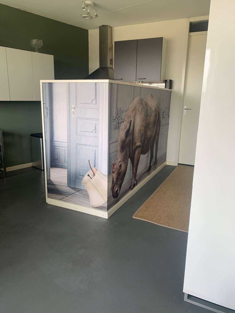 Neshorn med lampeskjerm