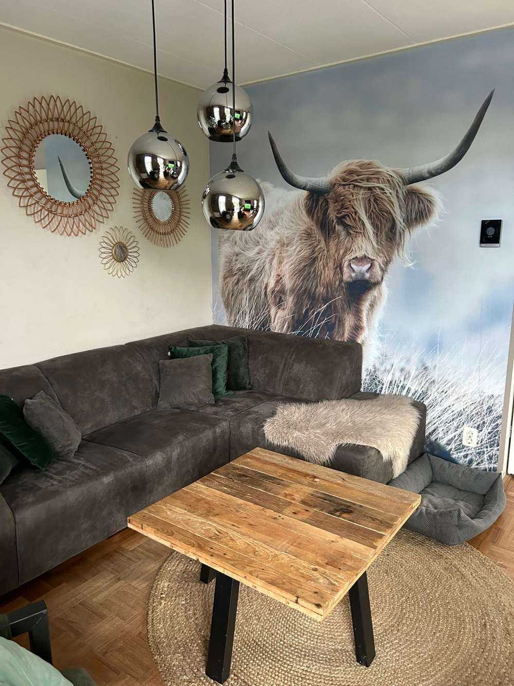 Det skotske høylandet i naturen