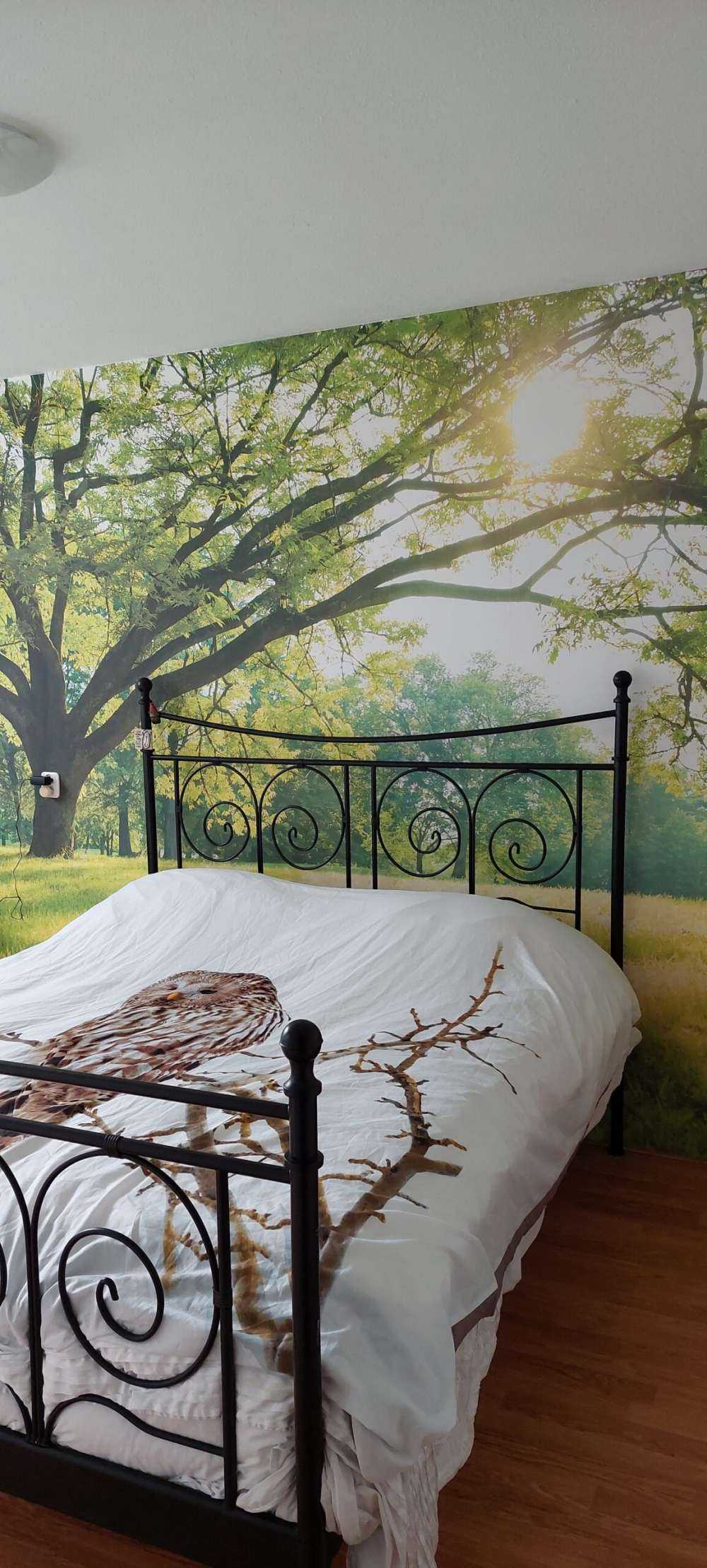 Härligt träd med grönt gräs