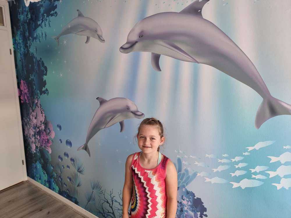 Undervandsverden med delfiner