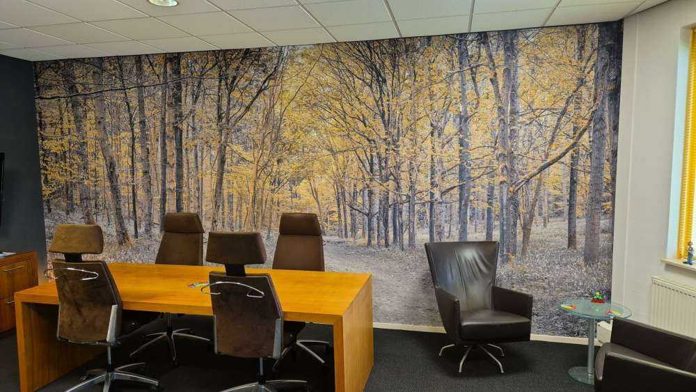 Skovvej i efteråret