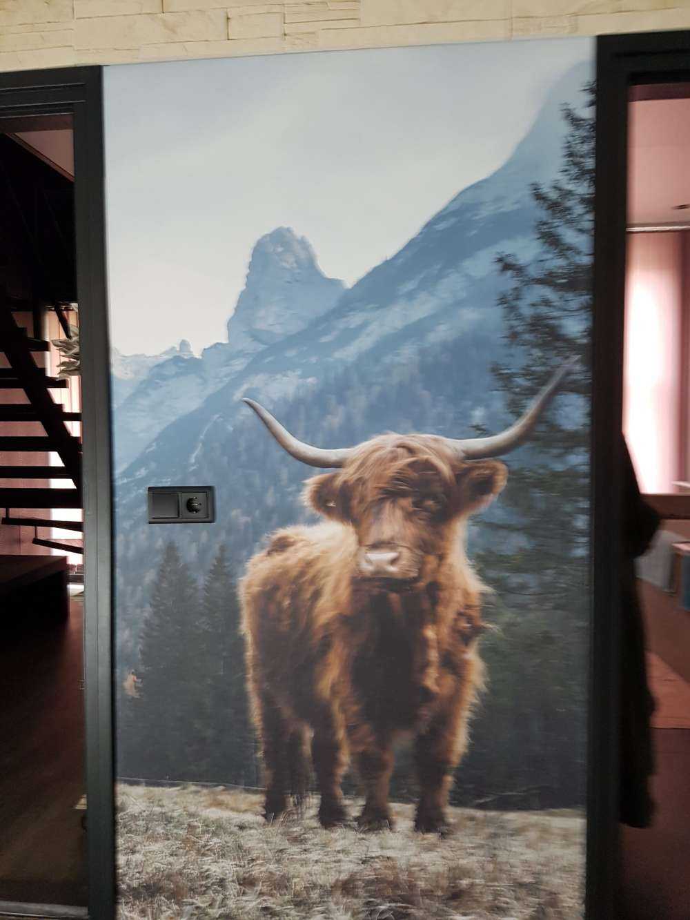 Det skotske høylandet blant trærne