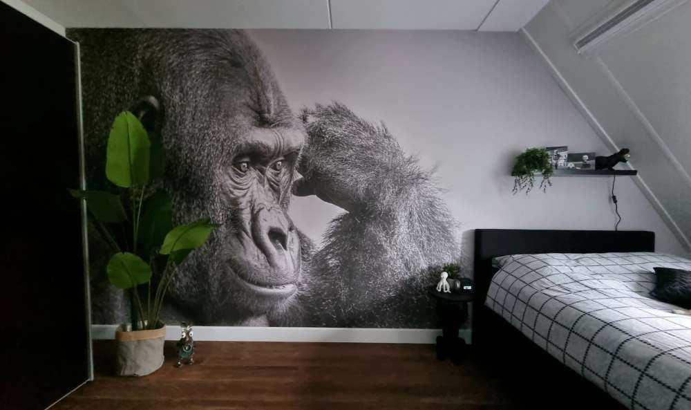 Gorilla svart og hvitt