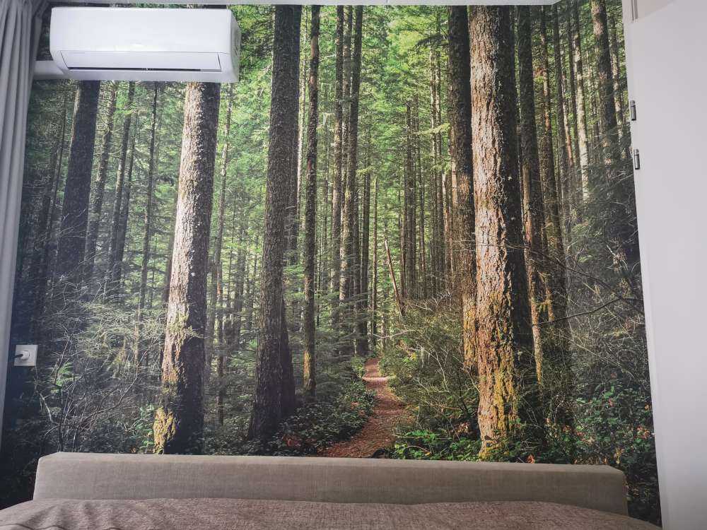Stigen i skogen