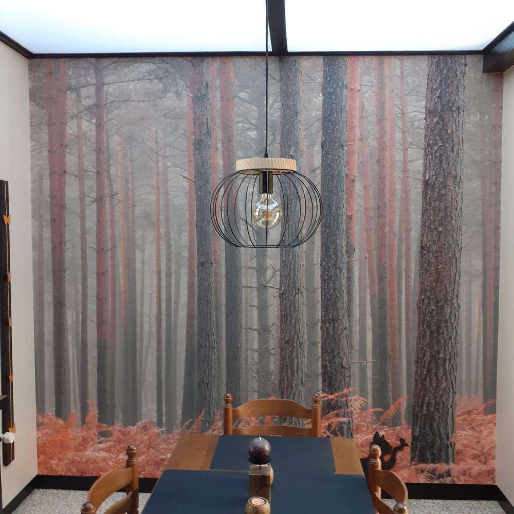 Træer om efteråret