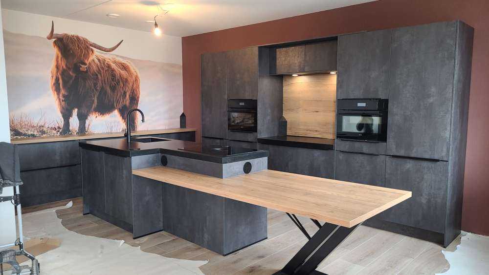 Skotsk højlander på en bakke