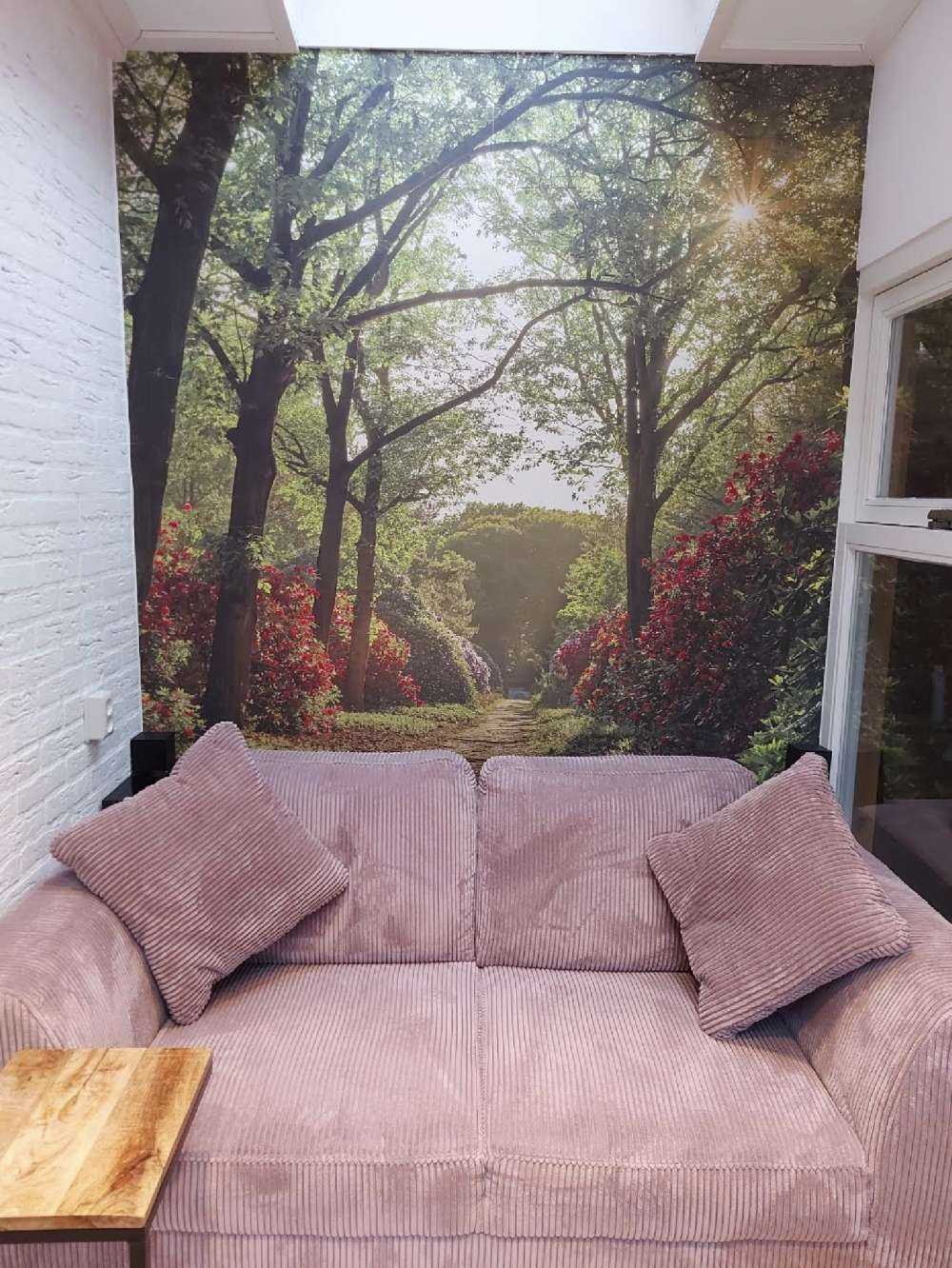 Solopgang ved sti med rododendroner