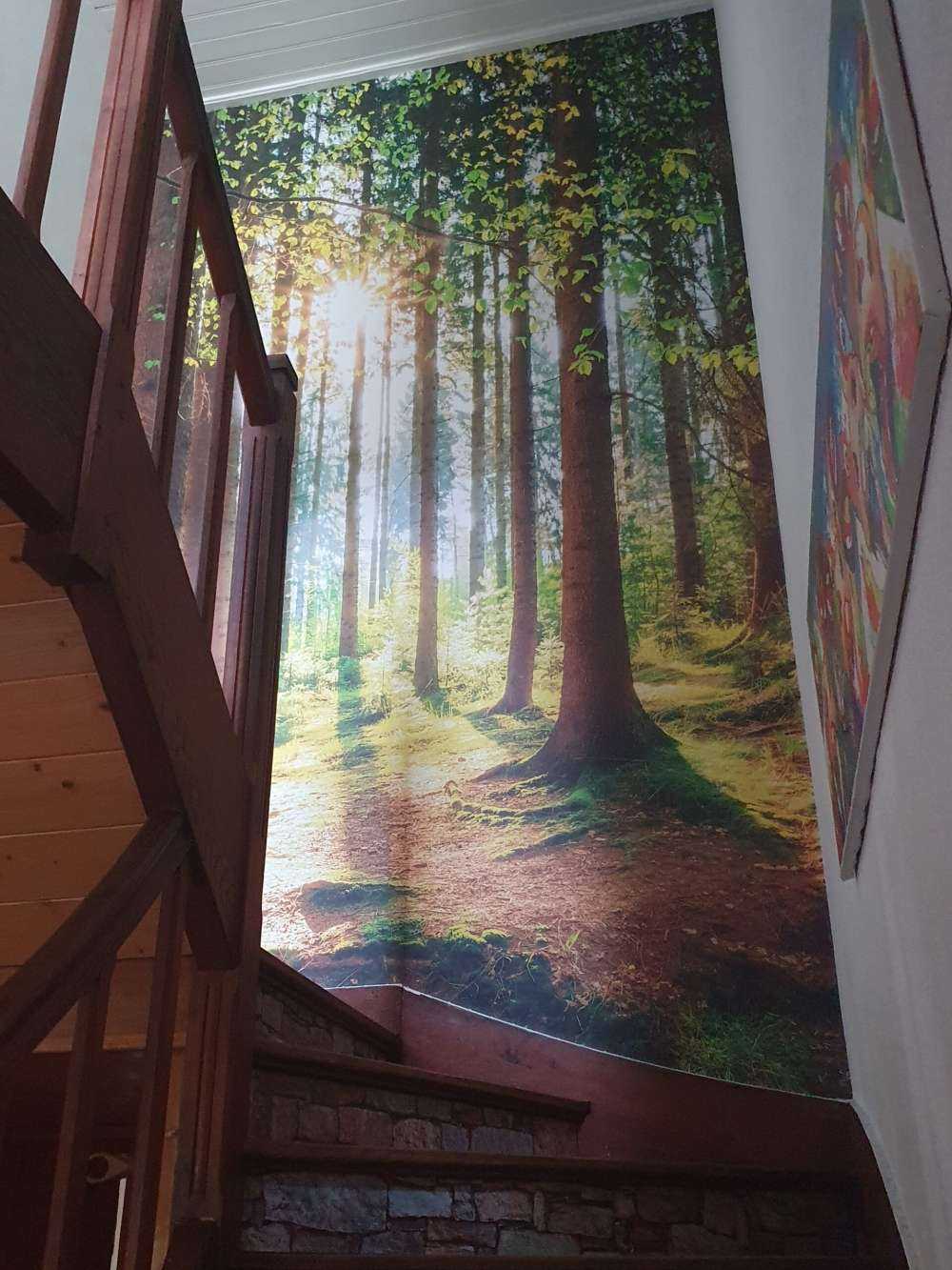 Solopgang i skoven
