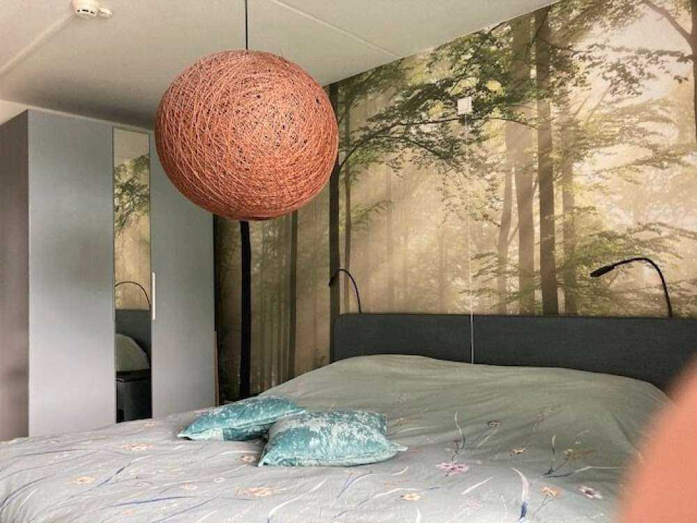 Grønn skog i tåken