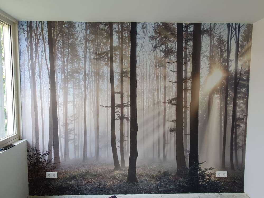 Den tåke skogen