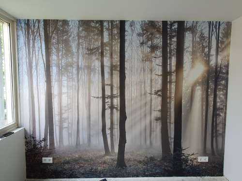 Den tåke skogen