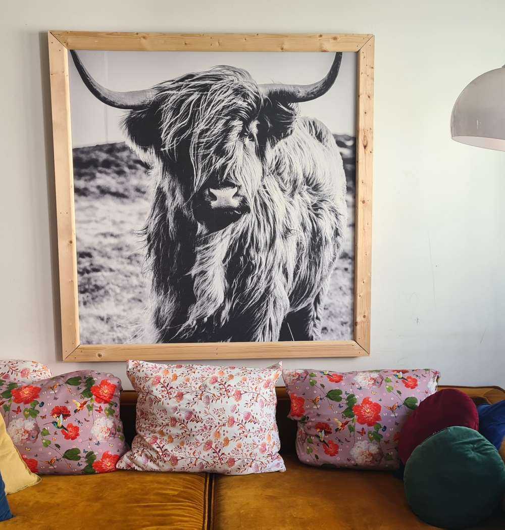 Det skotske høylandet i svart og hvitt