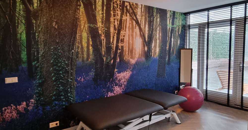 Skogsstig i soluppgång