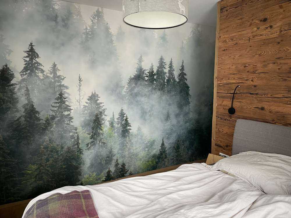 Dimmigt landskap med gröna träd