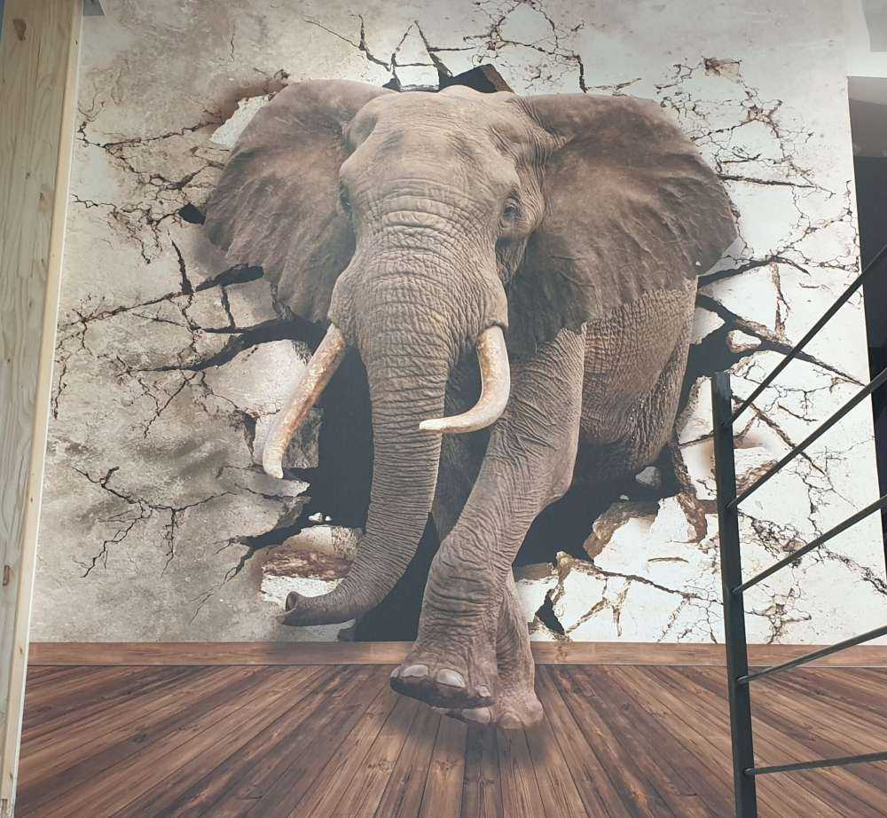 Stor elefant ud af væggen