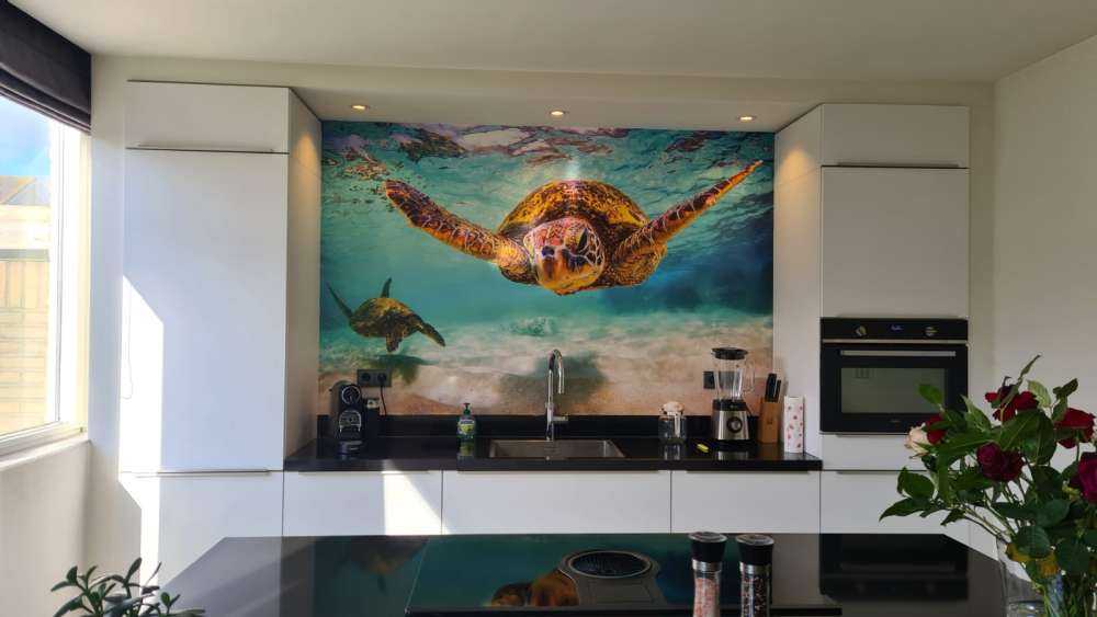 Havskildpadde i havet