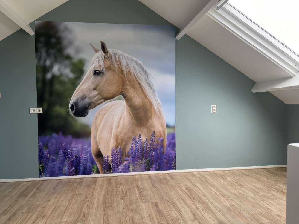 Hest blandt sommerfuglblomsterne