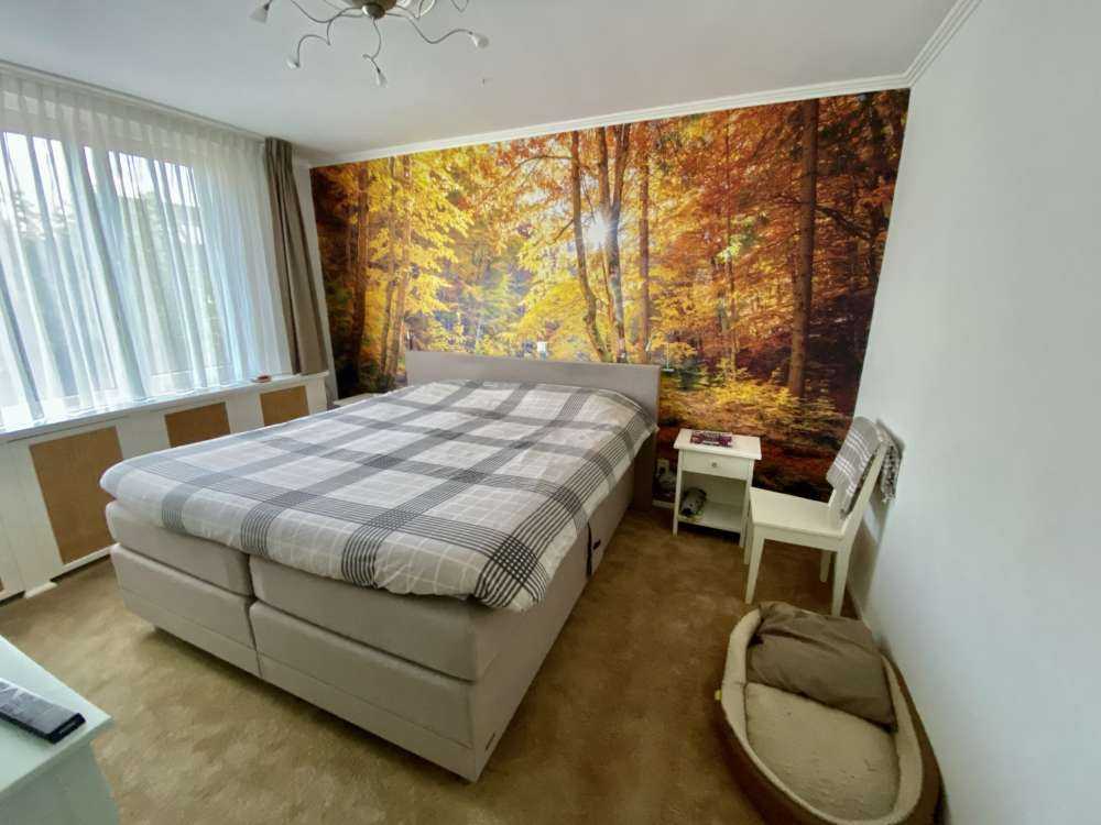 Efterår i en vild skov