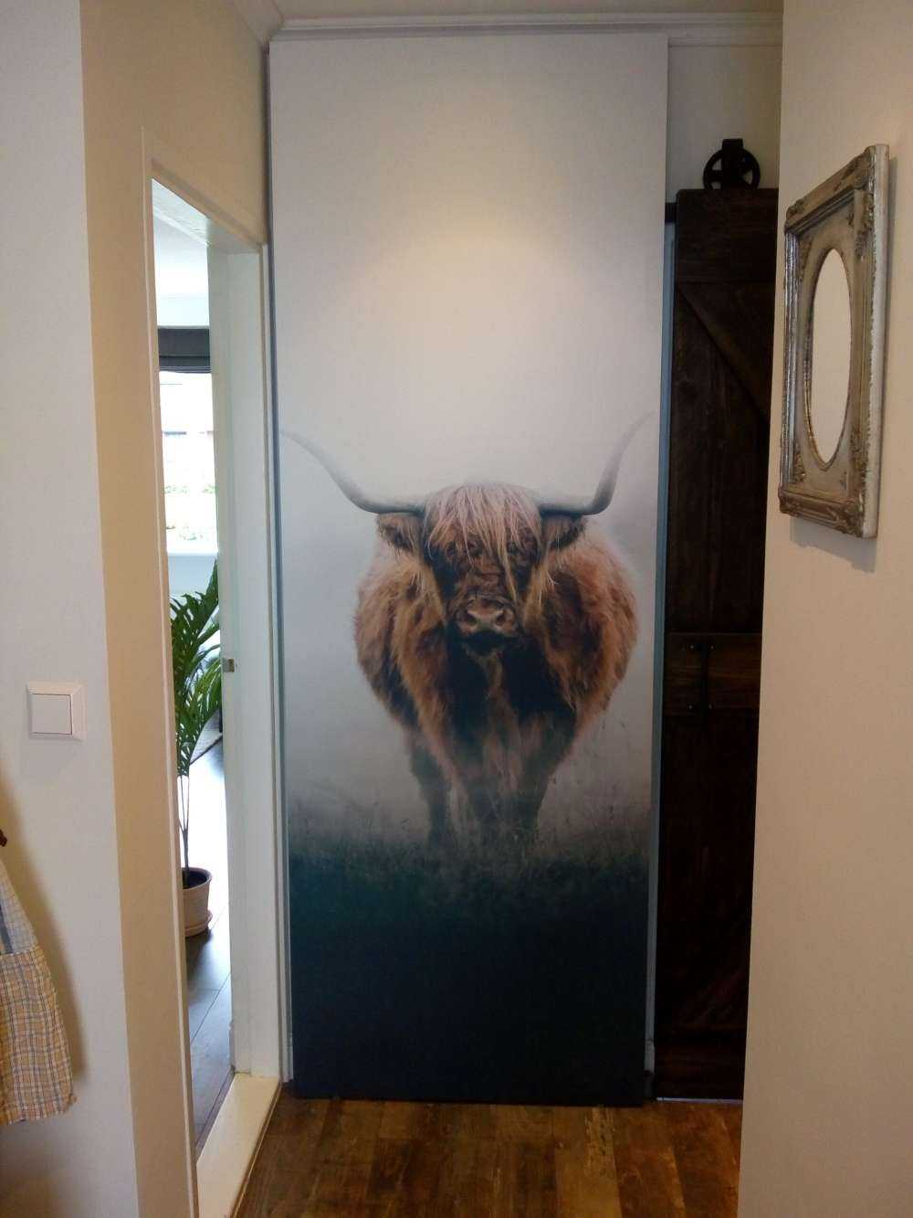 Skotsk højlænder i tæt tåge