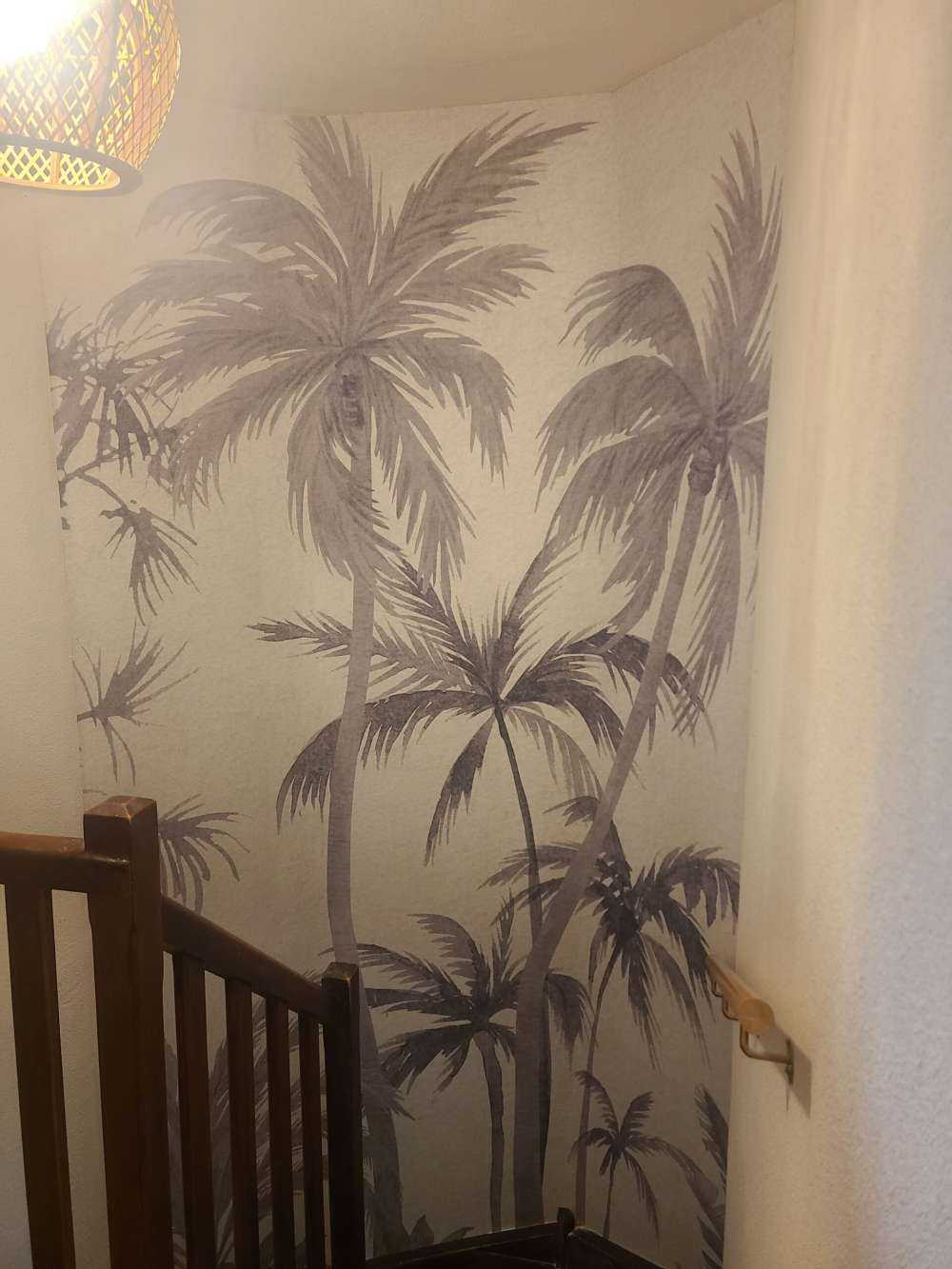 Tropiske trær og planter