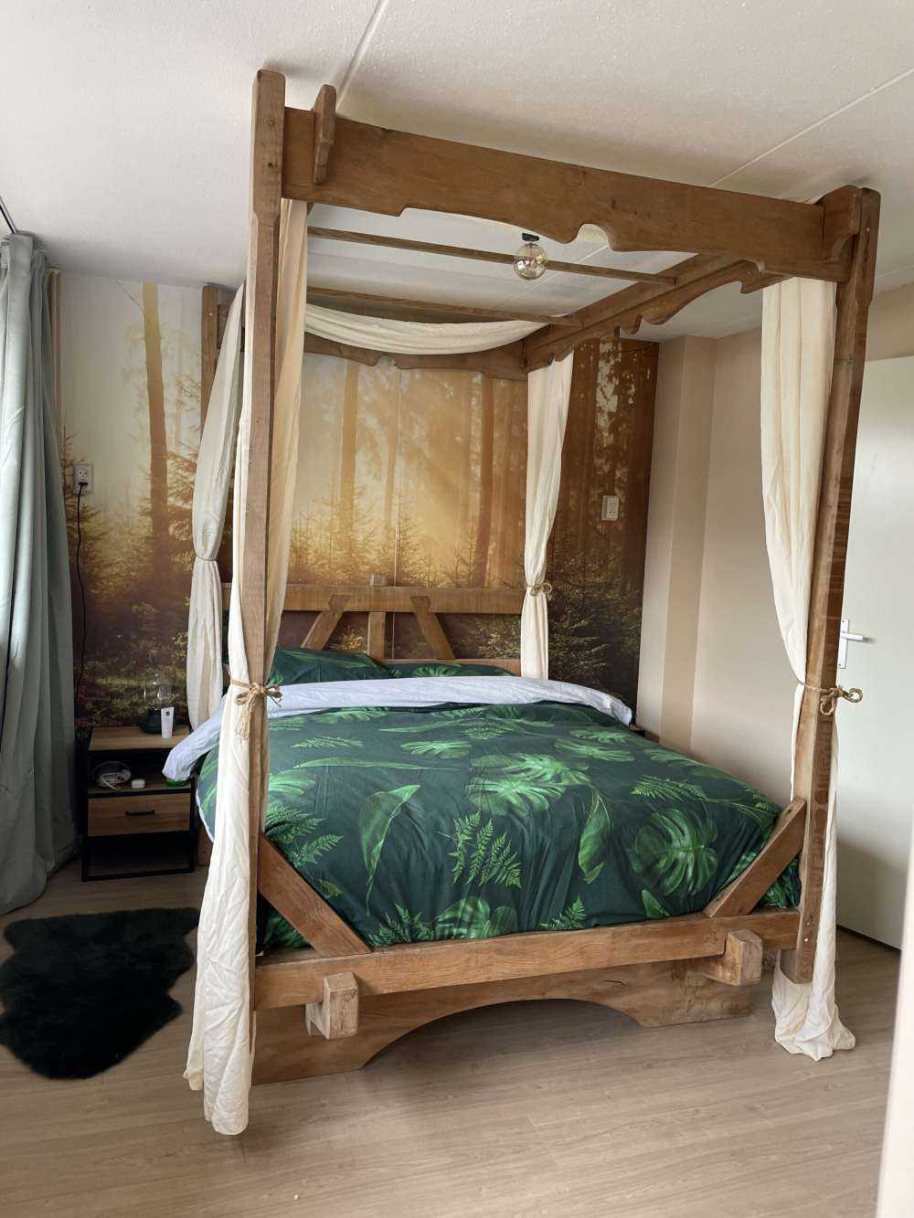 Solstråler gjennom skogen