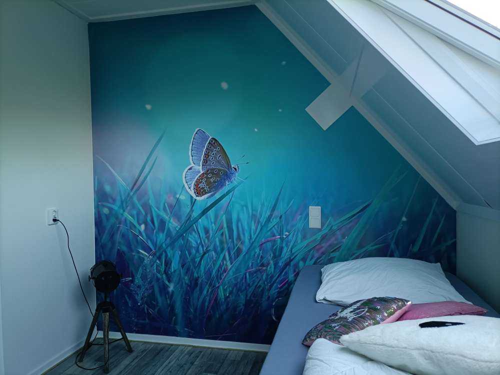 Sommerfugl om morgenen dugg