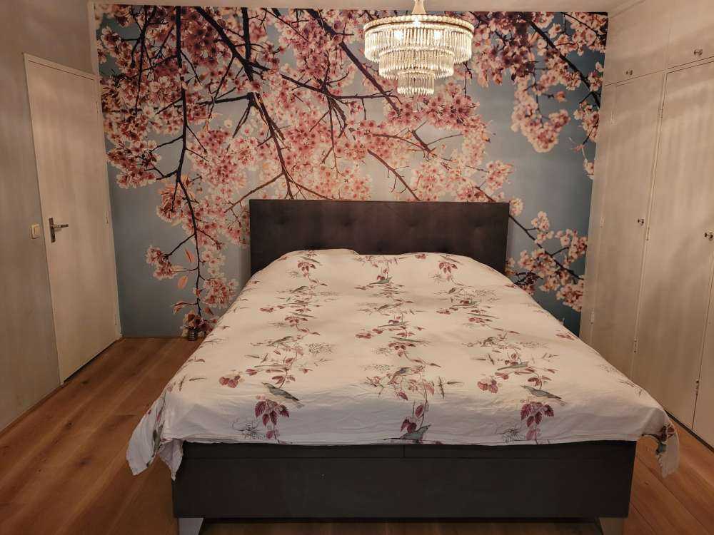 Kirsebærblomst