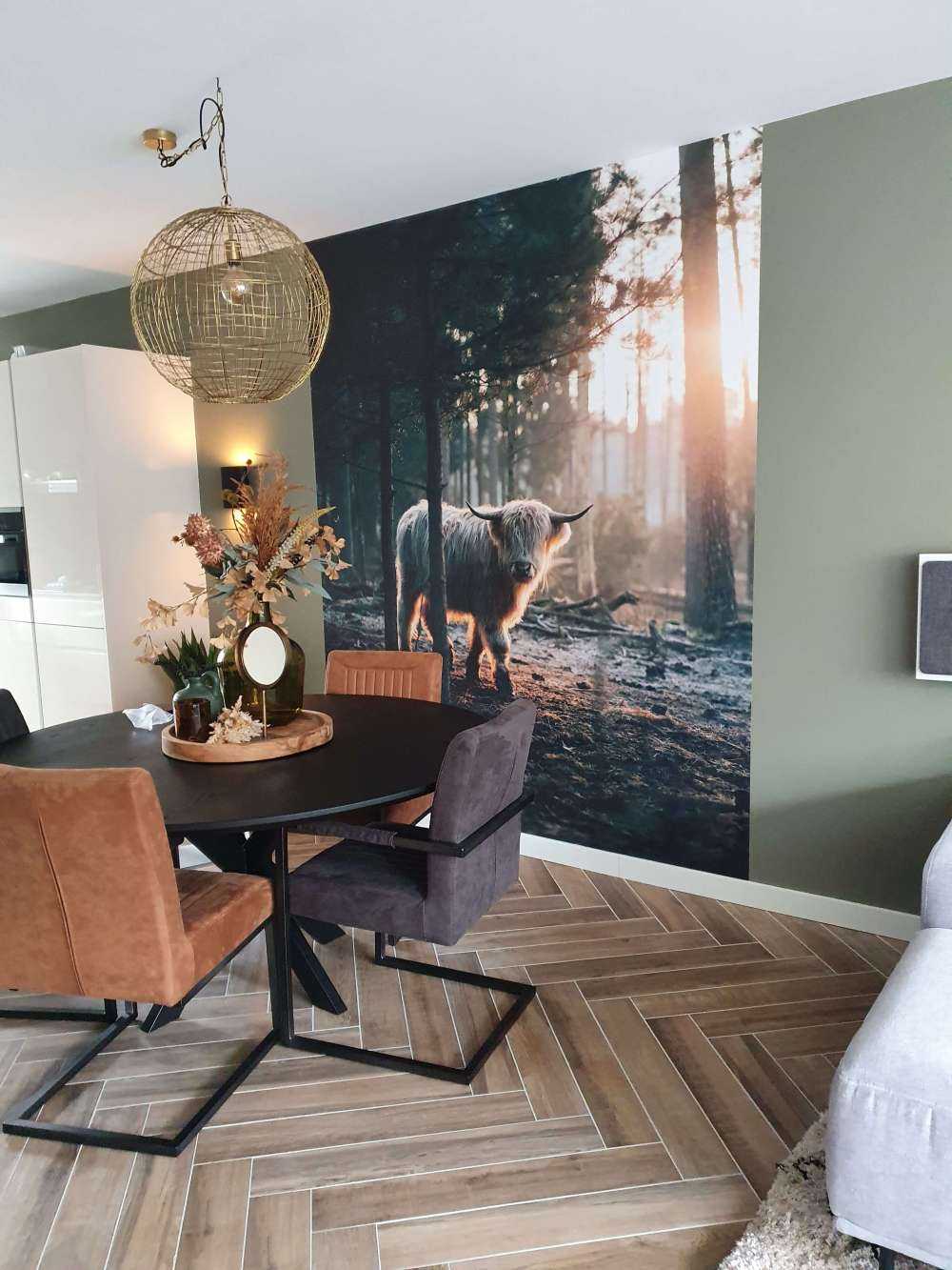 hvite skotske høylandet