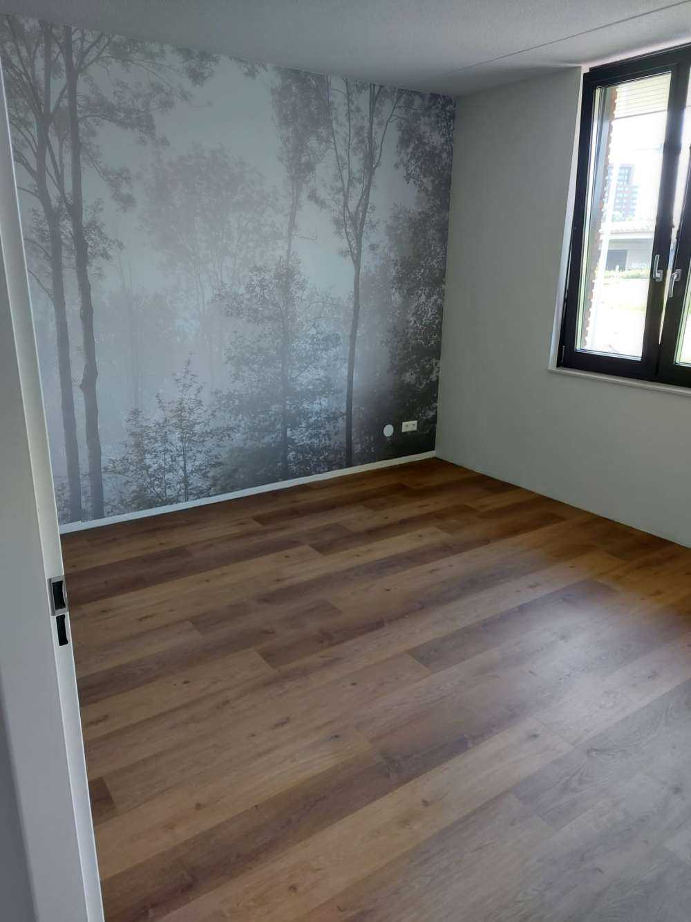 Tett tåke i skogen