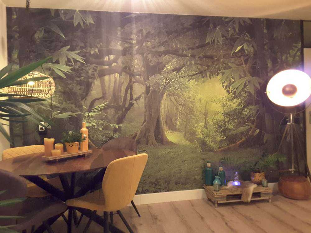 Tropisk djungel