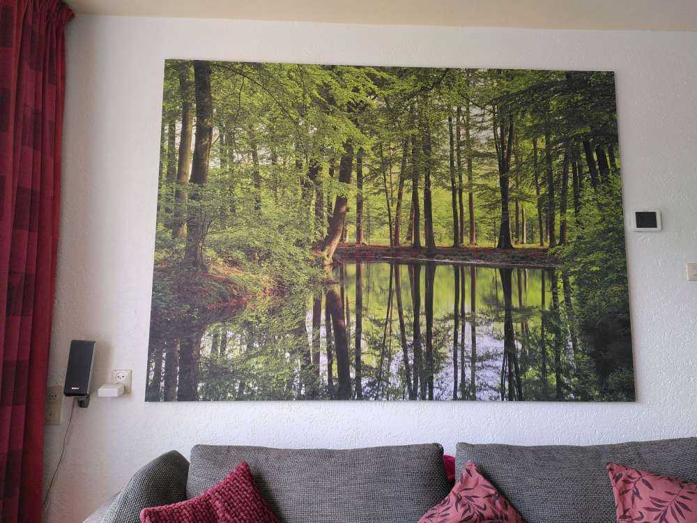 Trädens reflektion i vatten