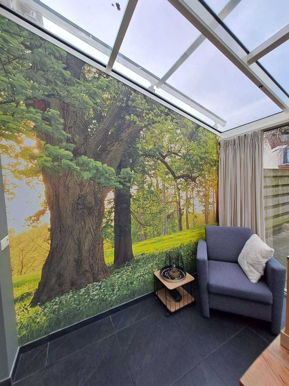 Öppet utrymme i skogen