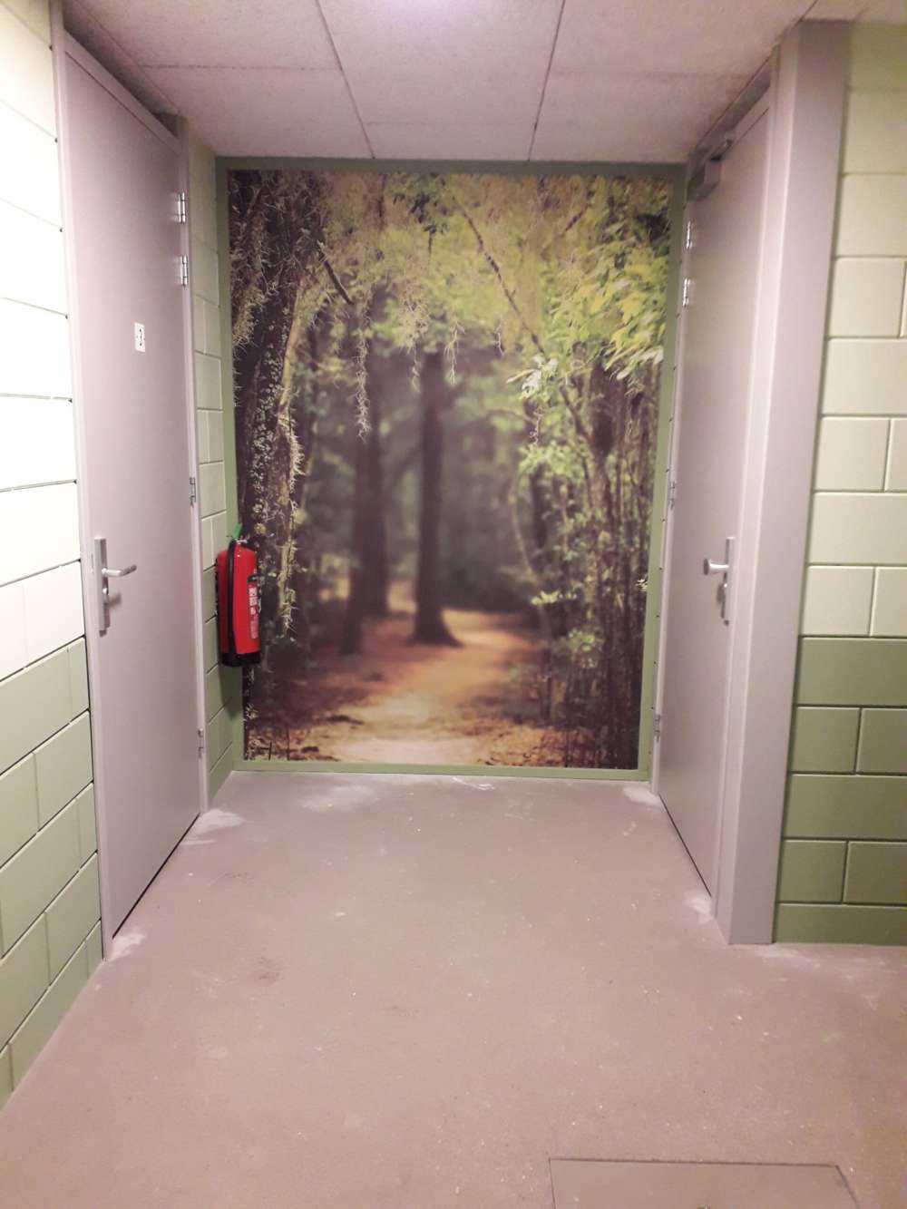 Spansk skog full av mossa